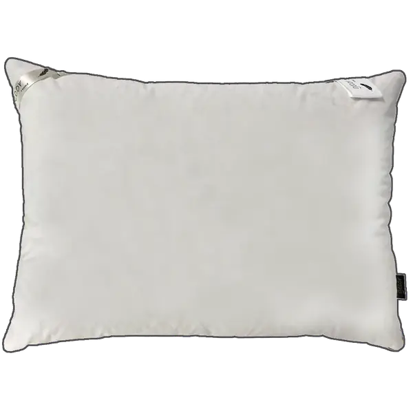 Gecor Silver, puf și pene de gâscă 50% / 50%, 50 x 70 x 18 cm